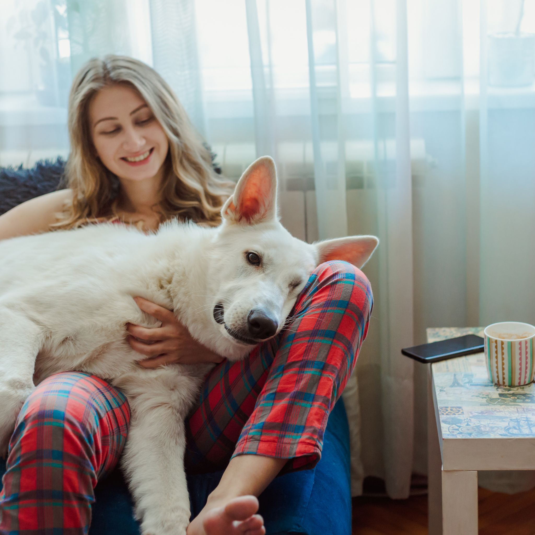pawsibly yours image of human with dog sitting on lap