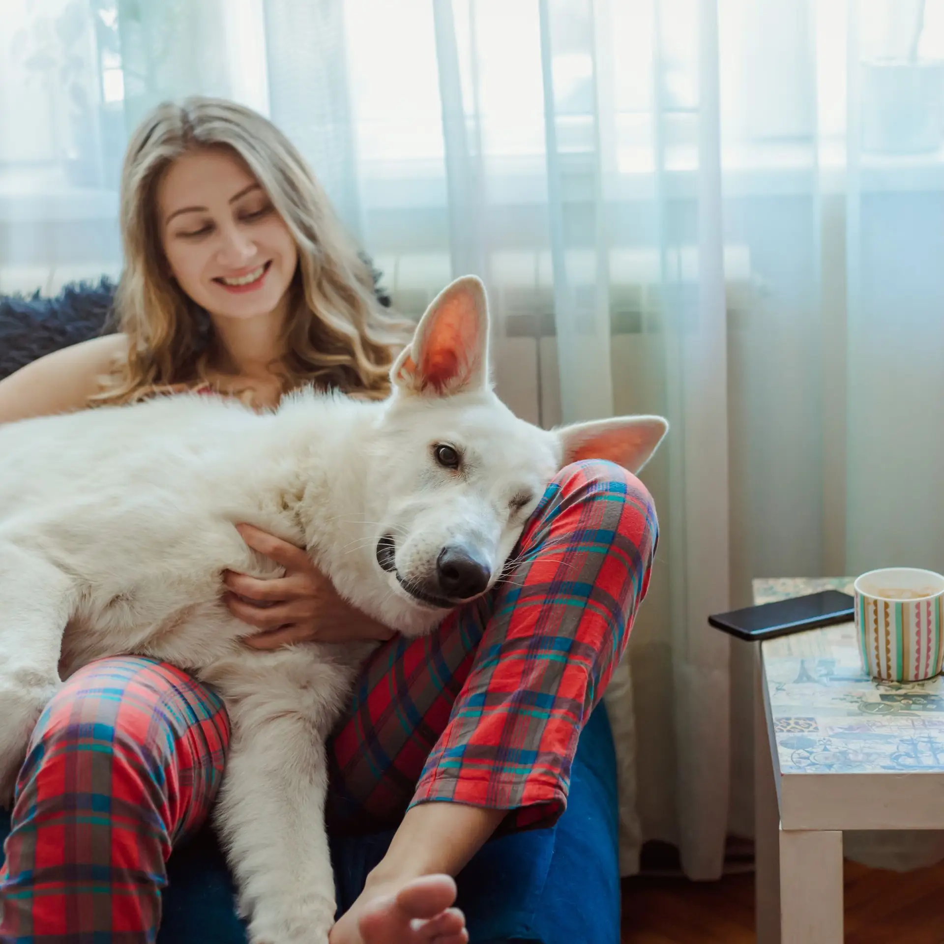 pawsibly yours image of human with dog sitting on lap
