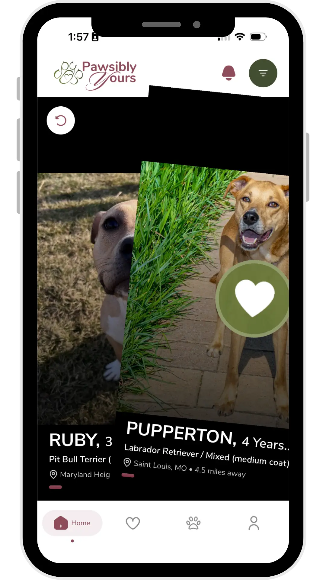 pawsibly yours swiping right on a dog and showing a green and white heart.